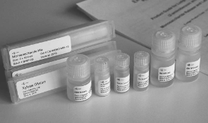 单抗常用的分析标准品类型