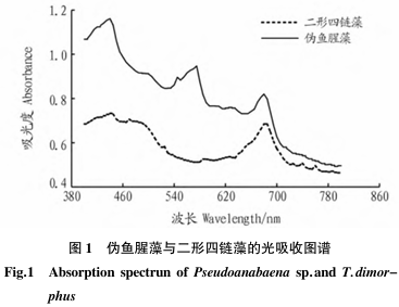 可见分光光度法测定伪鱼腥藻与二形四链藻混合藻液生物量